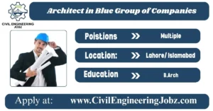 Blue Group of Companies Architect Jobs