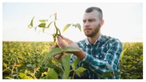 Agronomy Operations Supervisor Job in Iowa (USA)