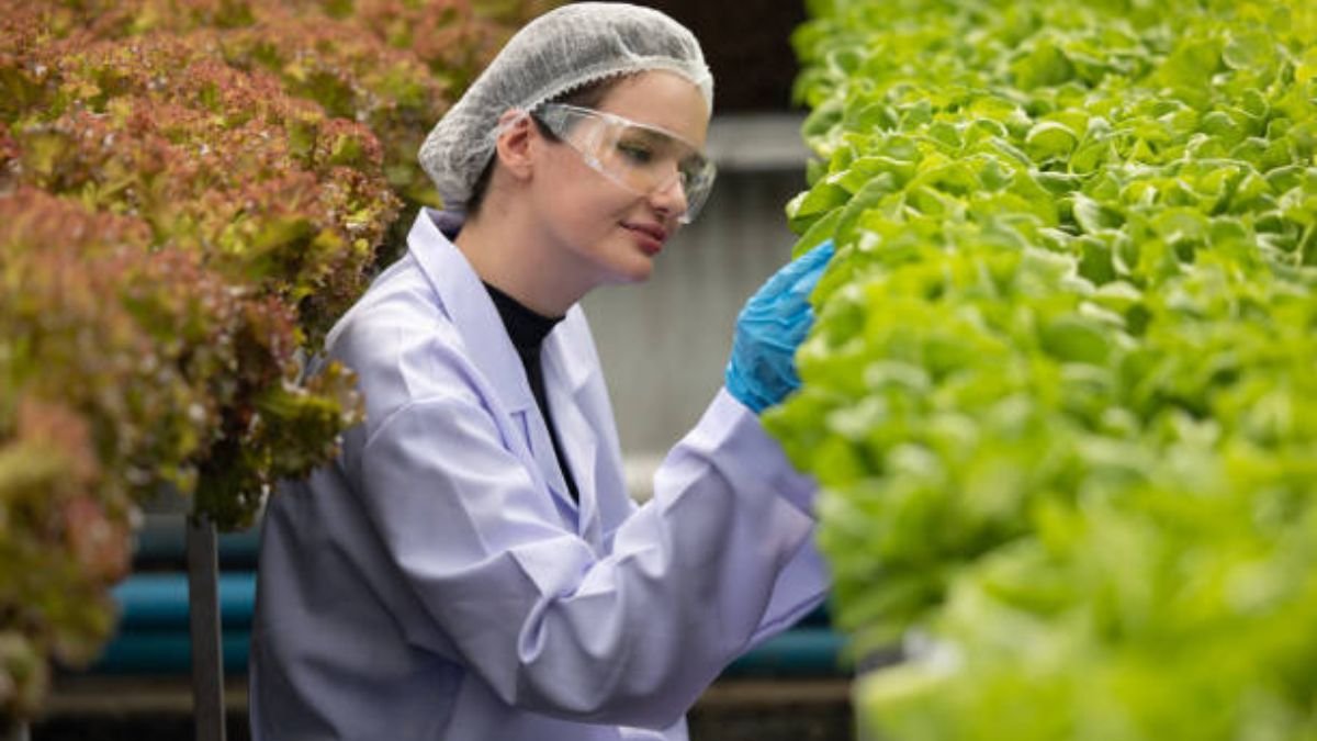 Agriculture Field Representative Jobs in USA 2026