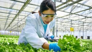 Agronomist Jobs in California United States 2026
