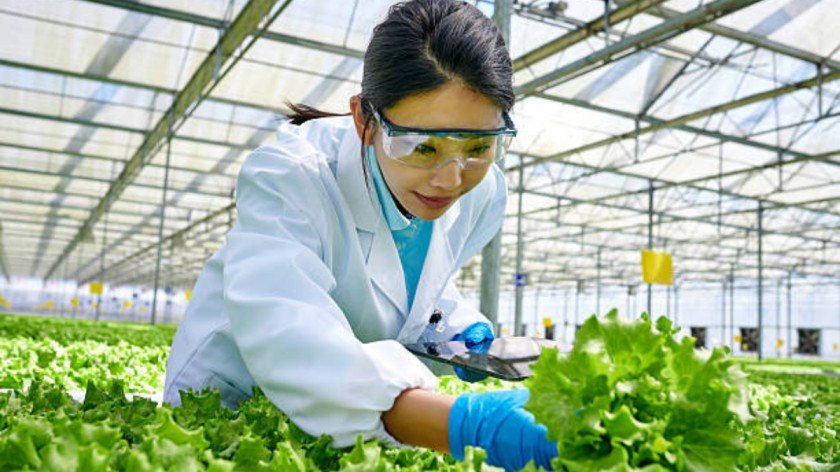 Agronomist Jobs in California United States 2026
