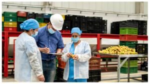 Food Quality Manager Jobs UAE 2026