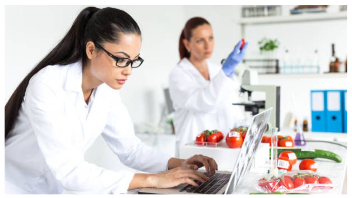 Quality Head Jobs RAK UAE 2026