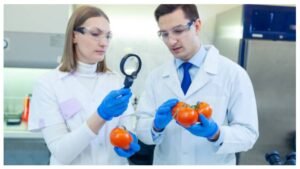 R&D Manager Jobs Dubai 2026 — Food Snacking