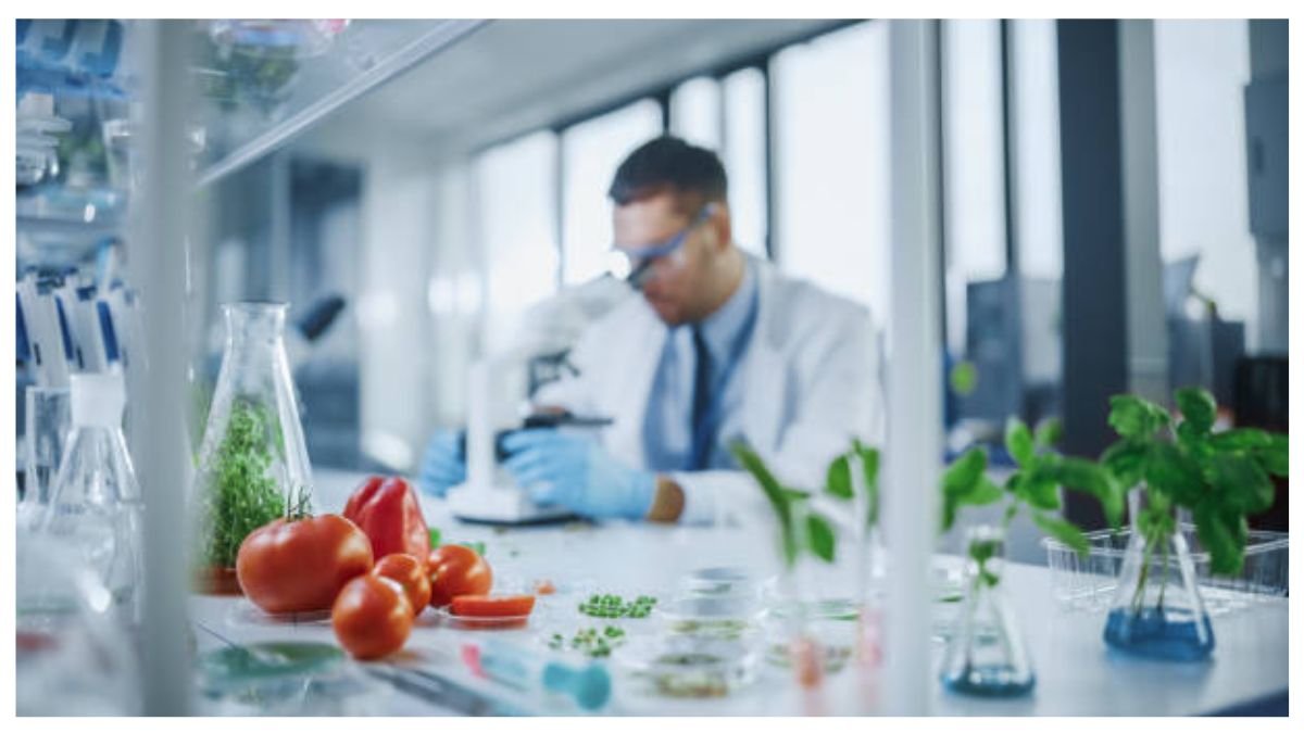 R&D Manager Jobs Dubai 2026