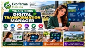 Digital Transformation Manager Jobs 2026