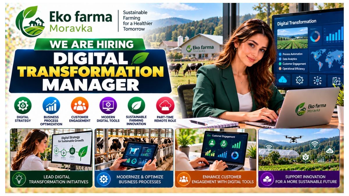 Digital Transformation Manager Jobs 2026