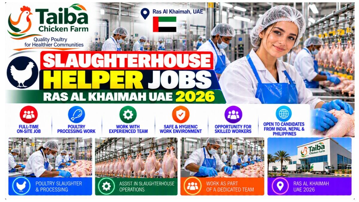 Slaughterhouse Helper Jobs Ras Al Khaimah UAE 2026