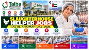 Slaughterhouse Helper Jobs Ras Al Khaimah UAE 2026