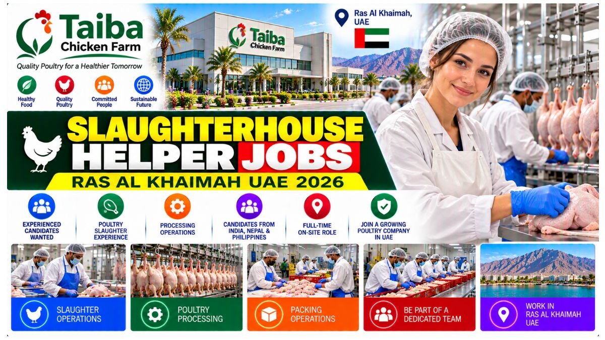 Slaughterhouse Helper Jobs Ras Al Khaimah UAE 2026